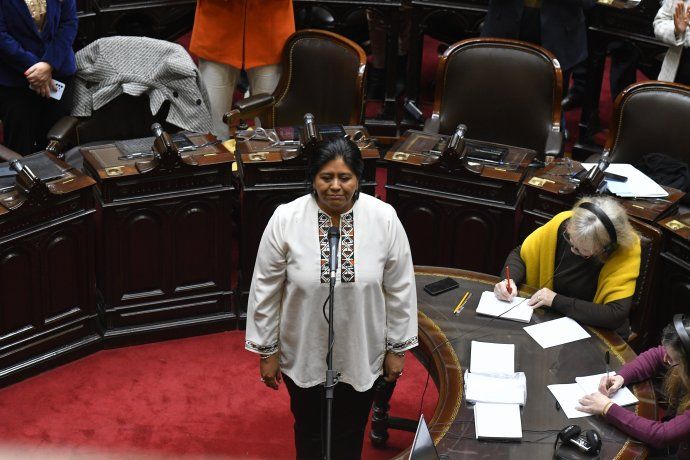 La diputada radical, Natalia Sarapura, juró en su asunción. La diputada radical, Natalia Sarapura, juró en su asunción.