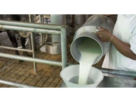 Por la baja en la actividad lechera, Mastellone cierra planta en Santa Fe