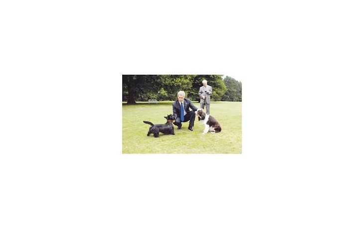 ámbito.com | Un momento de relax canino: Josh Brolin, como George W. Bush, en «W.», de Oliver Stone.