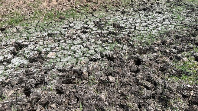 Tras una sequía sin precedentes, el gobierno empieza a analizar si prorroga o no la emergencia agropecuaria.
