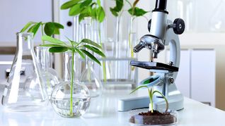 La revolucionaria apuesta de una empresa biotecnológica con IA La revolucionaria apuesta de una empresa biotecnológica con IA