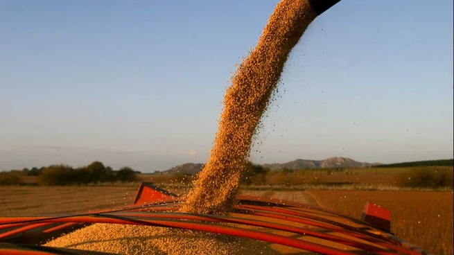 La reacción del campo a la vuelta de las retenciones a los granos.