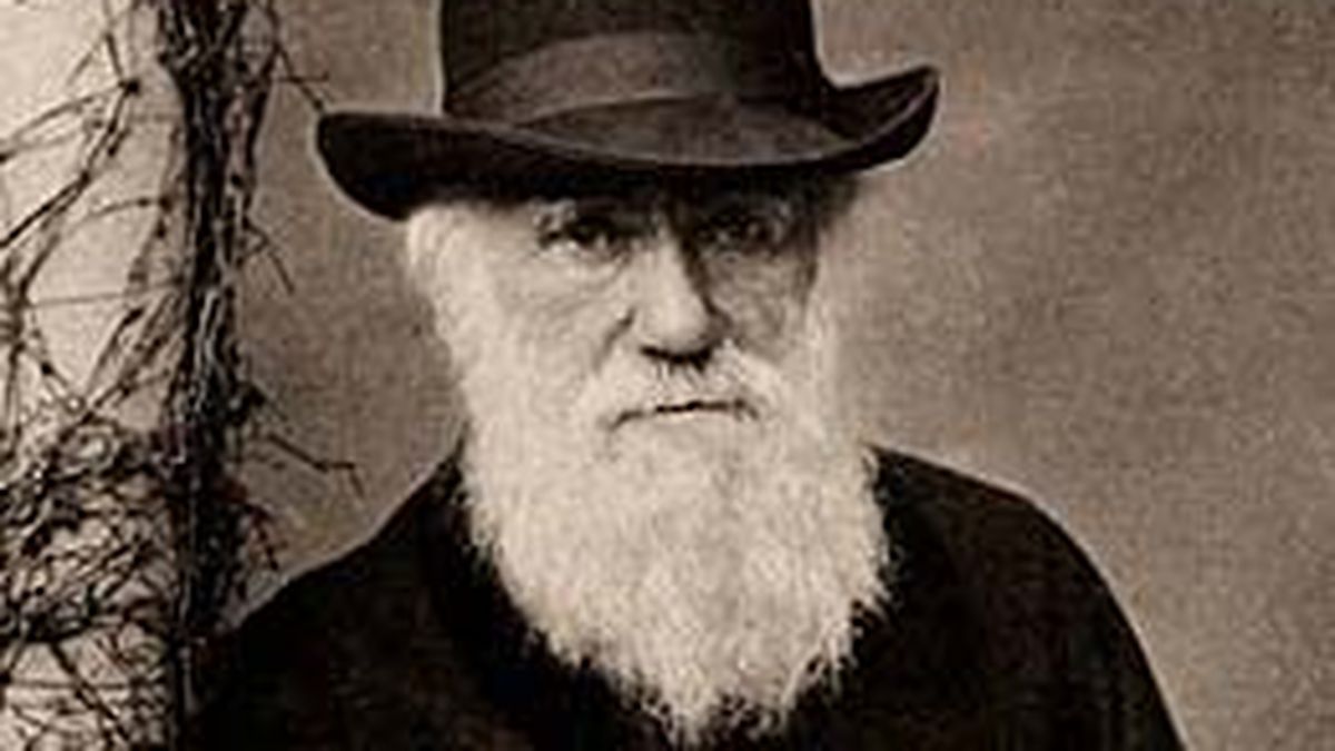 Charles Darwin can be considered one of the best economists in history, according to an expert
