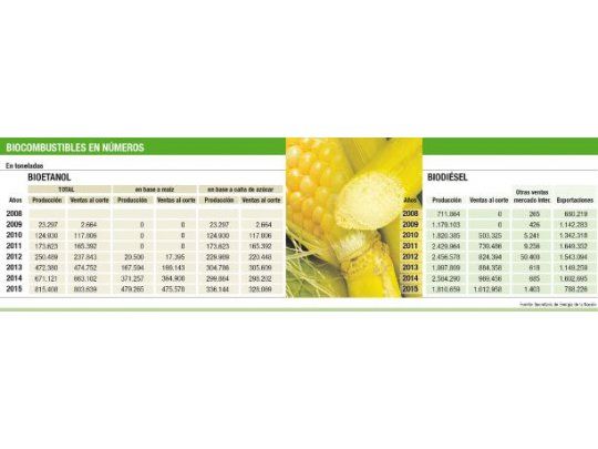 ¿Hay futuro para los biocombustibles?