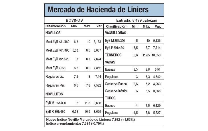 Precio récord en novillitos