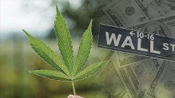 the great failure of cannabis companies the great failure of cannabis companies