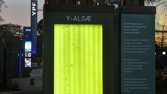 Los árboles líquidos, el nuevo desarrollo de YPF y el CONICET que apunta a combatir el cambio climático.