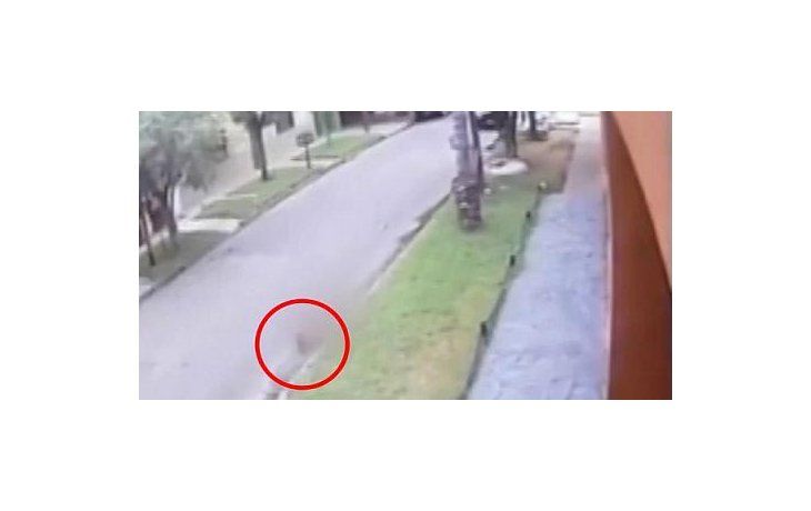 Un nene de 5 años fue atropellado por motochorros y está grave