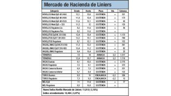 Bajas en Liniers