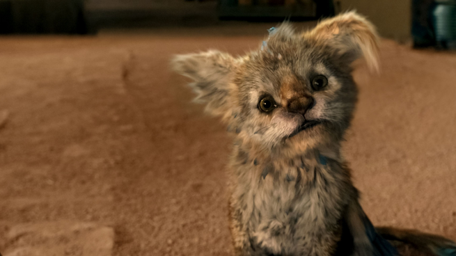 La nueva película de Netflix que es un guiño a la nostalgia.