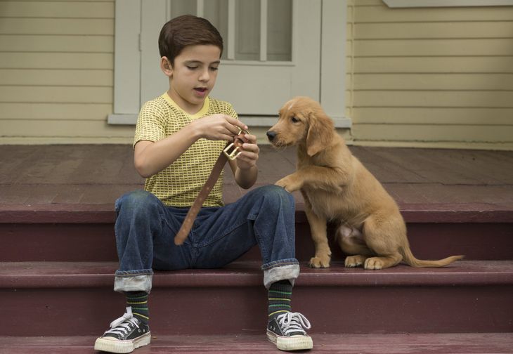 Dog Day: 5 movies to watch on Netflix
