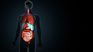 cuando el corazon, los rinones y el metabolismo tienen algo para decir del paciente
