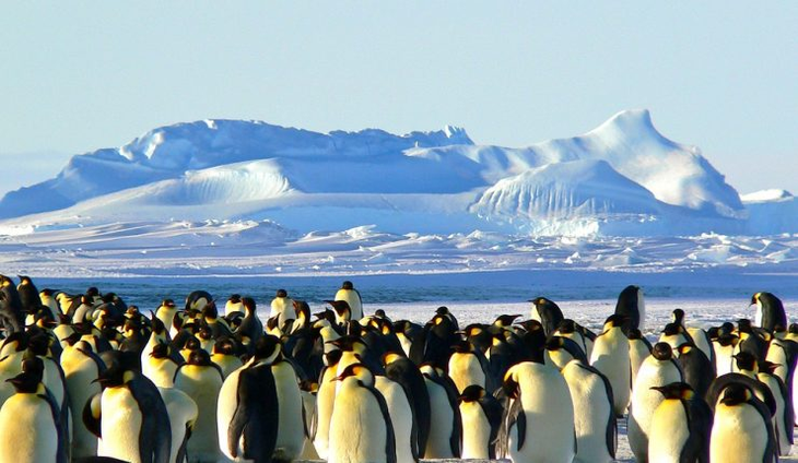 The outbreak in birds began in 2020 when a new strain of the virus was detected, which they dubbed 