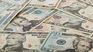 The dollar rose this Wednesday and accumulates a positive balance at an annual level. The dollar rose this Wednesday and accumulates a positive balance at an annual level.