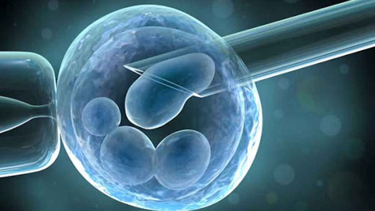 Government sent to Congress the bill on nanobiotechnology