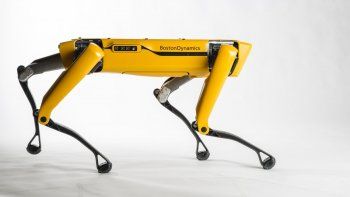 Un modelo de perro robot.