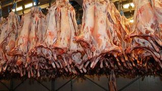 Uruguay espera una mejora en el mercado cárnico el año que viene.