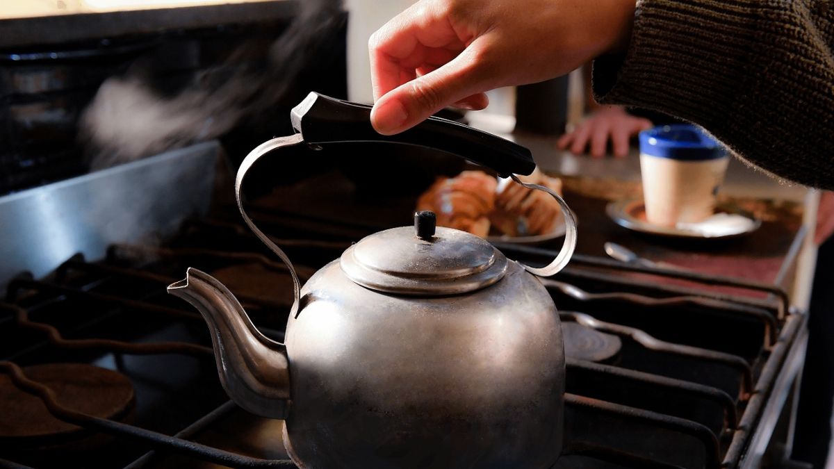 Why cleaning scale from appliances helps you save