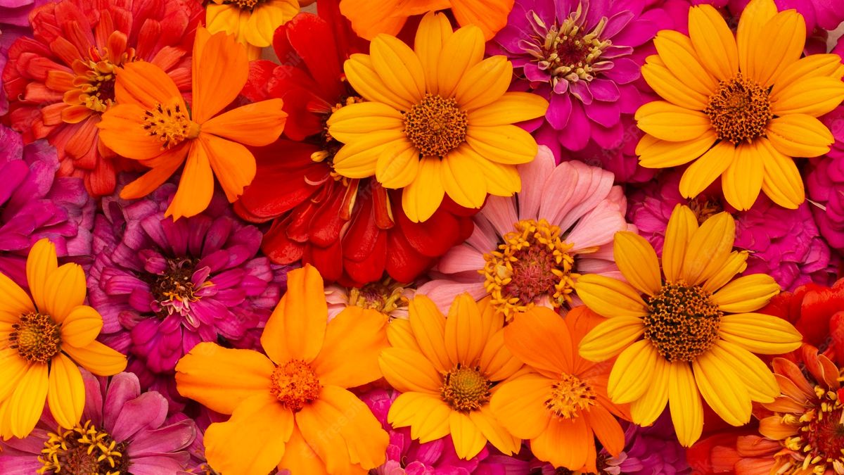 Día de la Primavera: ¿Dónde comprar flores a buen precio en la Ciudad?