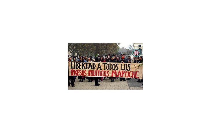 Estudiantes, políticos y artistas apoyan la protesta de los mapuches chilenos