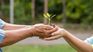 Caring for the environment is an issue that is on the agenda and companies must incorporate and take into account its impacts. Caring for the environment is an issue that is on the agenda and companies must incorporate and take into account its impacts.