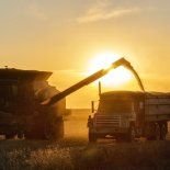 Durante abril, las empresas del complejo agroexportador liquidaron divisas por un total de u$s 2524 millones, un crecimiento del 32% interanual. Durante abril, las empresas del complejo agroexportador liquidaron divisas por un total de u$s 2524 millones, un crecimiento del 32% interanual.