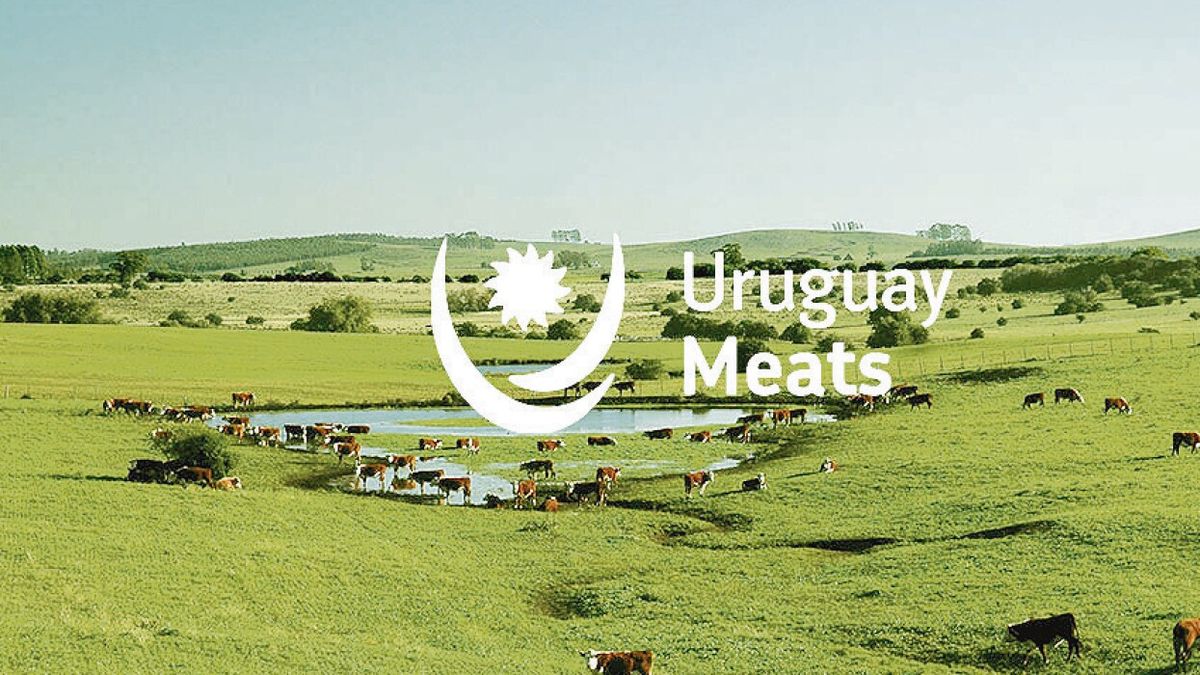 Uruguayan meat will have its own brand in the world