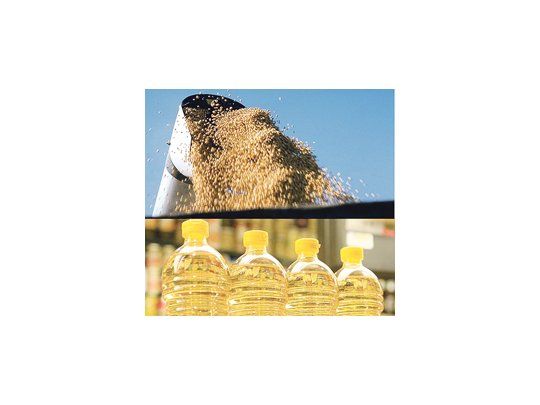 La incertidumbre causada por disputas comerciales entre la Unión Europea y la Argentina ha recortado las compras de biodiésel del país sudamericano en el Viejo Continente, su principal cliente del producto, según dicen los productores argentinos.
