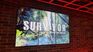 Who are the two new participants of Survivor Expedition Robinson presented by Telefe? Who are the two new participants of Survivor Expedition Robinson presented by Telefe?