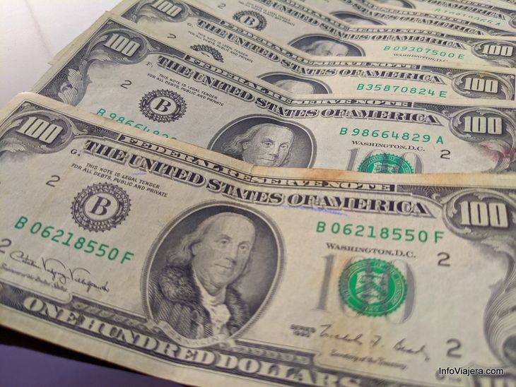 Everything you need to know to care for your stained dollars. Everything you need to know to care for your stained dollars.