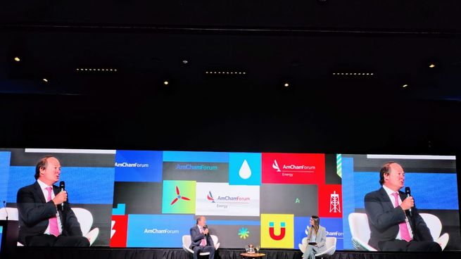 El viceministro coordinador de Energía y Minería del Ministerio de Economía, Daniel González, se presentó en una nueva edición del Amcham Energy Summit