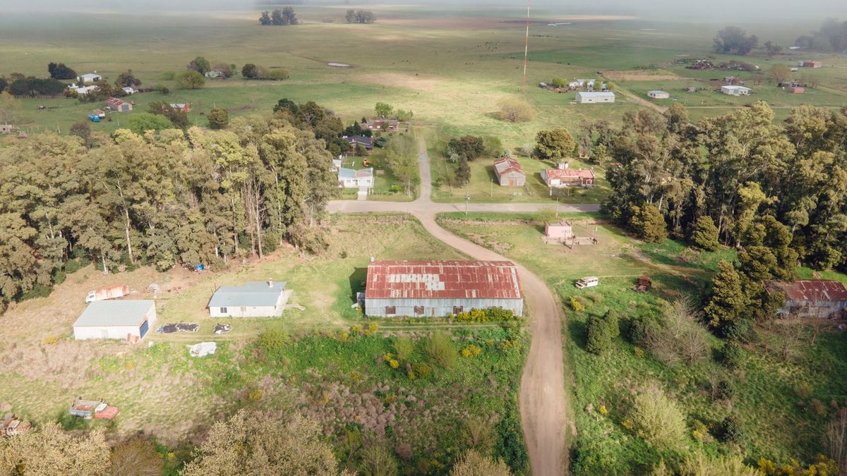 Getaways: the little-known village that hides a magical forest and is very close to Buenos Aires