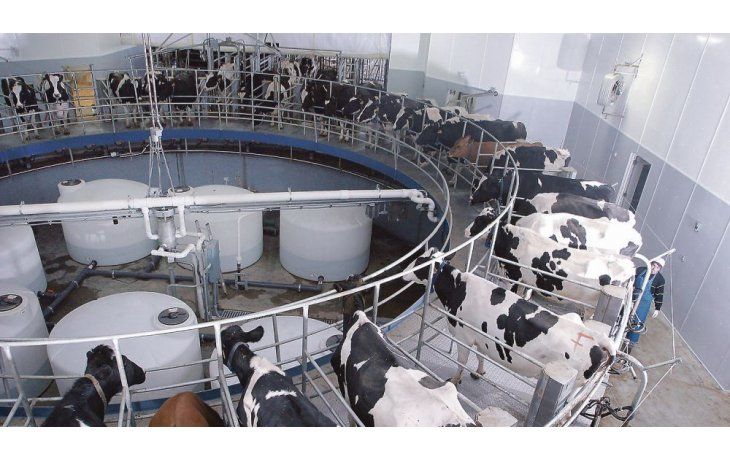 ámbito.com | El negocio lácteo no logra salir de su laberinto