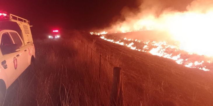 La vegetación densa y el monte facilitaron la rápida propagación del fuego en el partido de Villarino. La vegetación densa y el monte facilitaron la rápida propagación del fuego en el partido de Villarino.