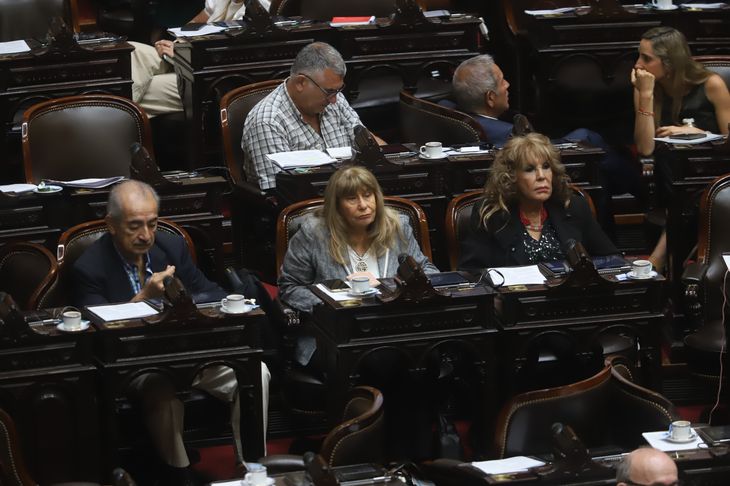 Diputados santiague&ntilde;os peronistas acompa&ntilde;aron al proyecto libertario.