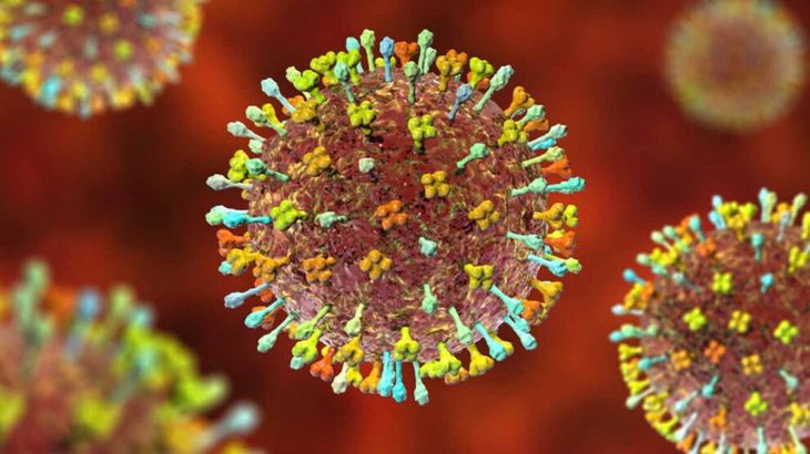 Se detectaron 35 casos de un tipo de Henipavirus proveniente de murciélagos. 