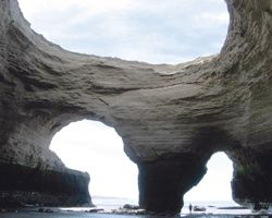 El Parque Nacional Monte León es uno de los lugares más atractivos de la Patagonia sobre el Atlántico. Es un sitio perfecto para el avistaje de fauna.