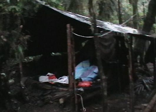 Difunden fotos del campamento del líder de las FARC (foto 1)