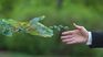 More and more associations seek to support companies that want to venture into sustainability. More and more associations seek to support companies that want to venture into sustainability.