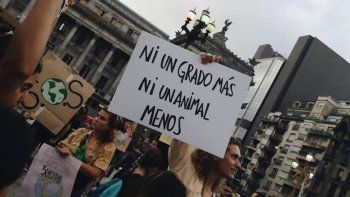 La movilización del viernes terminará con un acto frente al Congreso.