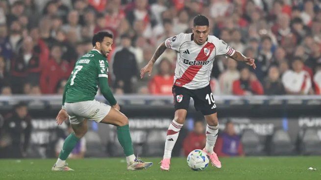 River palmeiras