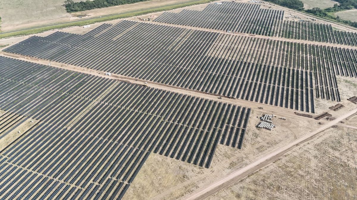 MSU Green Energy launched the La Corzuela solar park in Chaco