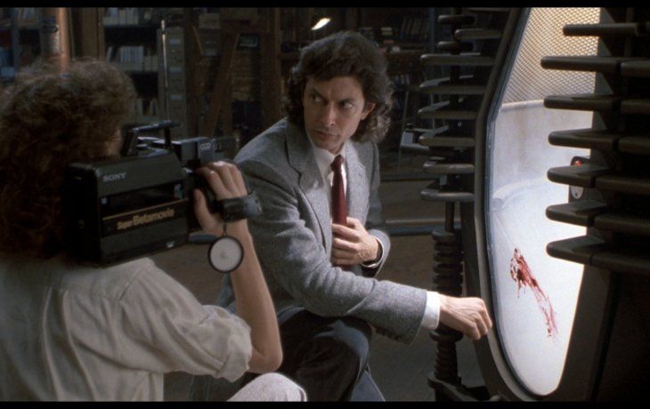 ámbito.com | The Fly.png