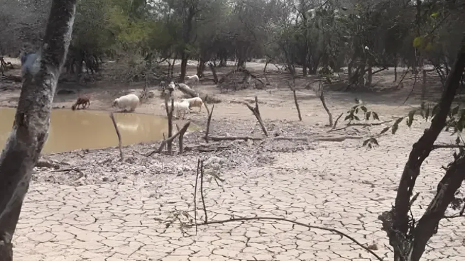 El Gobierno nacional declaró la emergencia y/o desastre agropecuario en Neuquén por la sequía.
