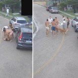 Se filtró el video que compromete a tres futbolistas argentinos peleándose en una calle de Brasil Se filtró el video que compromete a tres futbolistas argentinos peleándose en una calle de Brasil