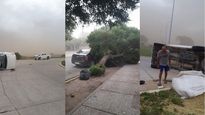 Un temporal de viento y lluvia provocó destrozos y accidentes de tránsito en San Luis