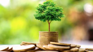 Inversión en tecnologías para el planeta: Uruguay busca consolidar un ecosistema de startups de impacto. Inversión en tecnologías para el planeta: Uruguay busca consolidar un ecosistema de startups de impacto.
