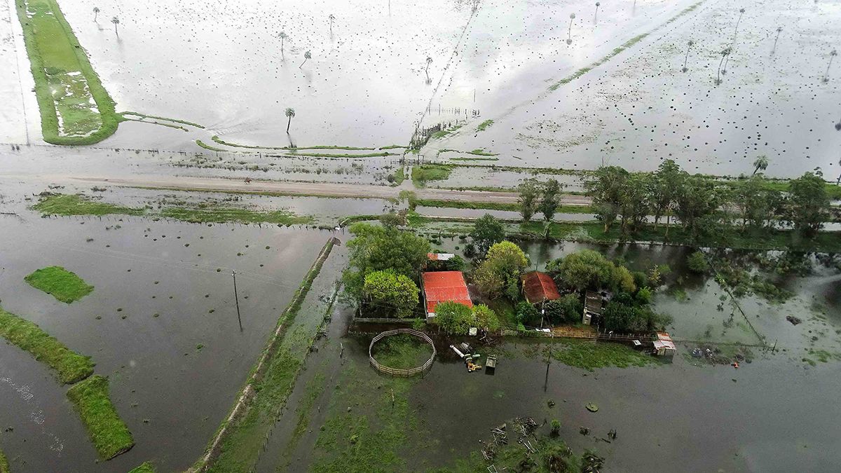 Rice farmers warned of million-dollar losses due to floods in Rocha