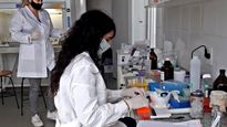 cientificos argentinos desarrollan kit para detectar el covid-19 en mamiferos