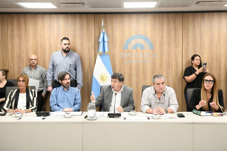 Autoridades de la Comisión de Discapacidad en Diputados.